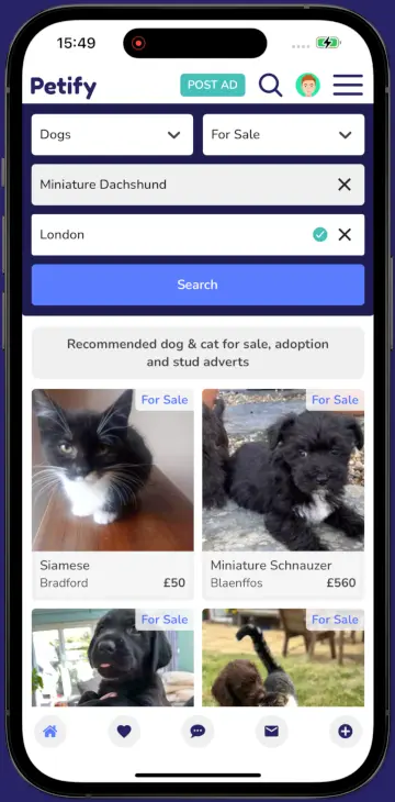 Petify IOS App