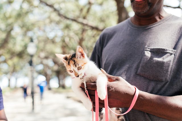 Man holding a kitten