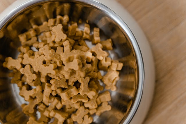 Dog food in a stainless steel bowl